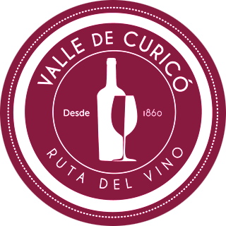Ruta del vino – Valles de curicó