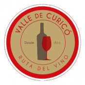 Ruta del vino – Valles de curicó