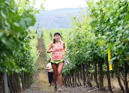 Trail Corriendo entre Viñedos: una experiencia de deporte y vino en los valles de Curicó