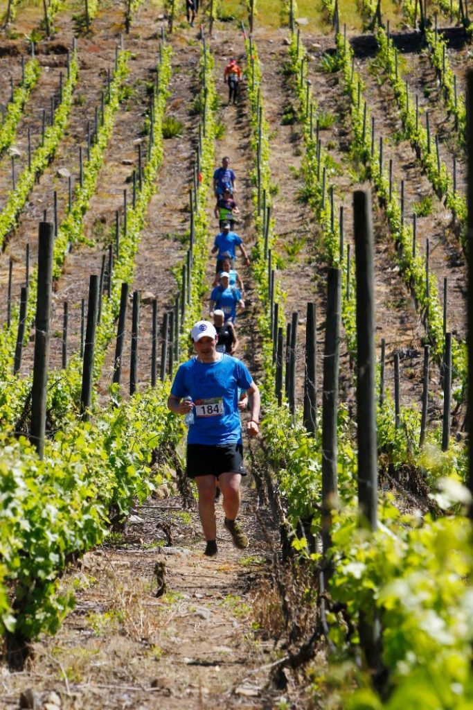 8° corriendo entre viñedos