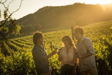 Sunset Wine Viña Aresti