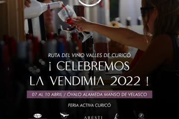 RESERVA TU COPA ¡¡ CELBREMOS FIESTA DE LA VENDIMIA CURICÓ 2022!!