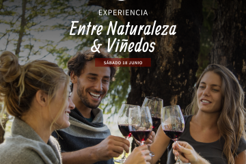 EXPERIENCIA Entre Naturaleza & Viñedos