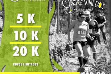 12° TRAIL CORRIENDO ENTRE VIÑEDOS “VIÑA REQUINGUA»