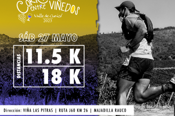 Pulsera Acompañante /13° Trail Corriendo Entre Viñedos «Viña Las Pitras»
