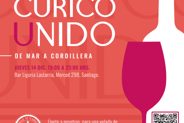 fiesta de vinos «CURICÓ UNIDO de mar a cordillera»