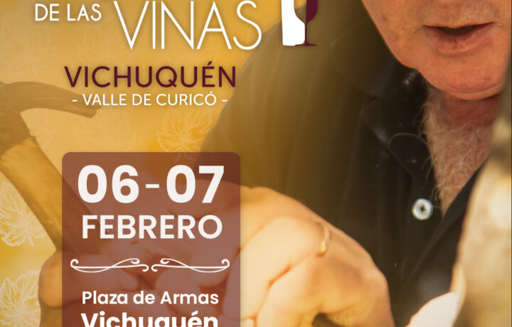 20% PREVENTA COPA!! XIX NOCHE DE LAS VIÑAS VICHUQUEN 2026