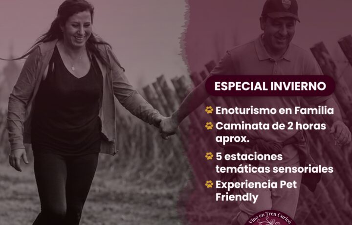 CAMINATA ENTRE VIÑEDOS VIÑA ARESTI 2026