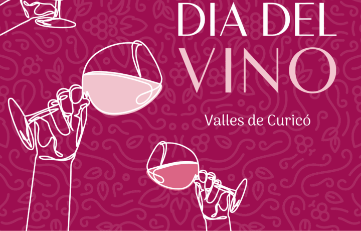 Dia del Vino Valles de Curicó 2026 /RESERVA TU COPA